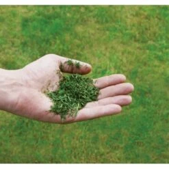 Einhell Benzin-Rasenmäher GC-PM 51/3 S HW-E 19 Einhell Benzin-Rasenmäher GC-PM 51/3 S HW-E -Gartengerätegeschäft 171 340487 2171 8073710 08