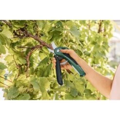 Bosch Akku-Gartenschere EasyPrune -Gartengerätegeschäft 2610319 3058 05