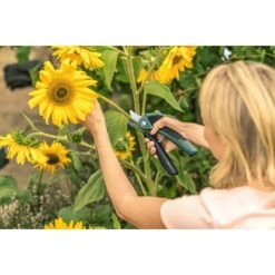 Bosch Akku-Gartenschere EasyPrune -Gartengerätegeschäft 2610319 3058 08