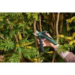 Bosch Akku-Gartenschere EasyPrune -Gartengerätegeschäft 2610319 3058 10