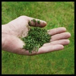 Einhell Power X-Change Akku-Rasenmäher GE-CM 36/48 Li M-Solo -Gartengerätegeschäft 4006825660654 2171 07 1