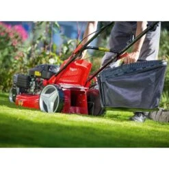 Trike-Rasenmäher B 51/TMA 60 L Fangkorb 2.900 W -Gartengerätegeschäft 4048122036251 A06 071118