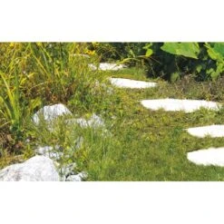 Einhell Akku-Gras- Und Strauchschere GC-CG 3,6 Li -Gartengerätegeschäft 508839 2171 7