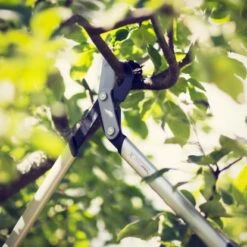 Fiskars Bypass-Getriebeastschere PowerGearX LX94-M 10 Fiskars Bypass-Getriebeastschere PowerGearX LX94-M -Gartengerätegeschäft 6088561 A04