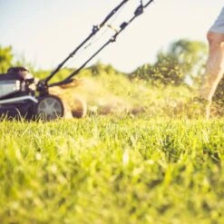 Aspen 4-Takt-Gemisch Sonderkraftstoff 25 L -Gartengerätegeschäft 7330045970055 3467 A 03