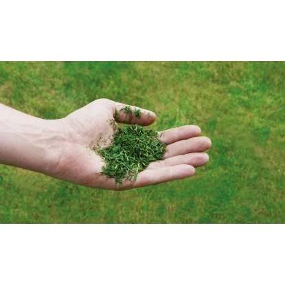 Einhell Benzin-Rasenmäher GC-PM 52/2 S HW 8 Einhell Benzin-Rasenmäher GC-PM 52/2 S HW – Bild 8