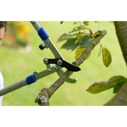 LUX Amboss Astschere Mit Getriebe Und Teleskopoierbaren Griffen 2 LUX Amboss Astschere Mit Getriebe Und Teleskopoierbaren Griffen – Bild 2