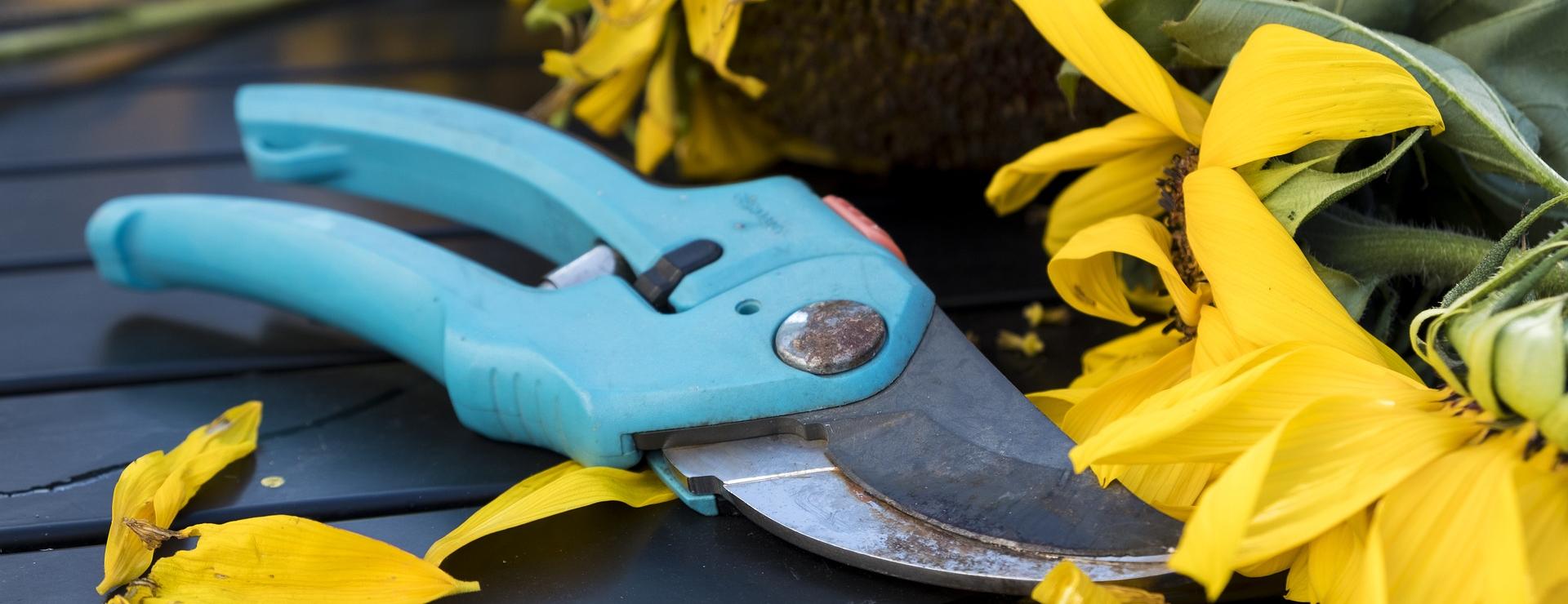 Gartengerätegeschäft -Gartengerätegeschäft fall 2759887 1920