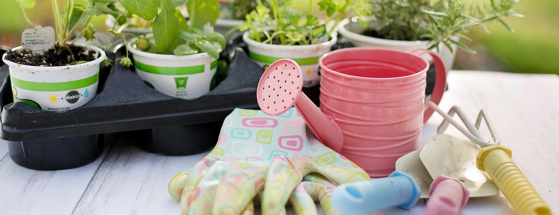 Gartengerätegeschäft -Gartengerätegeschäft planting 4226838 1920